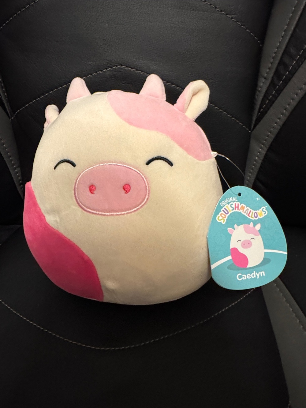 7.5” Squishmallows Caedyn Pink & Cream Pig Plush